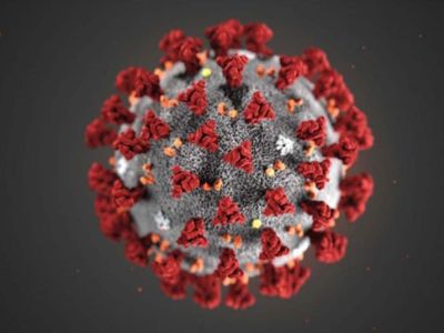 El calor no mata al coronavirus, alerta la OMS