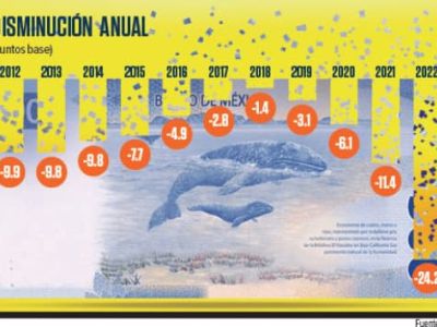  Afores reducirán sus comisiones 30% para 2022