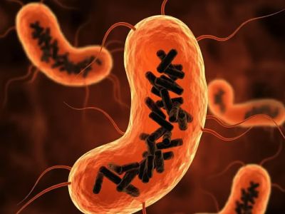 Descubren una nueva entidad biológica que habita en el cuerpo humano